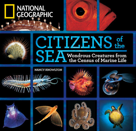 Citizens of the Sea by Nancy Knowlton