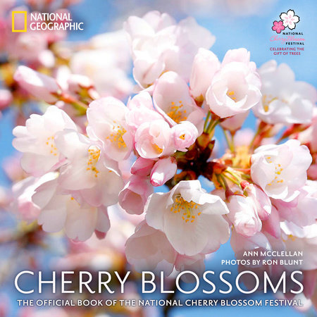 Cherry Blossoms by Ann McClellan