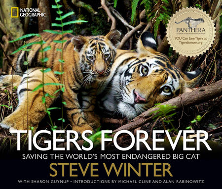 Tigers Forever by Sharon Guynup