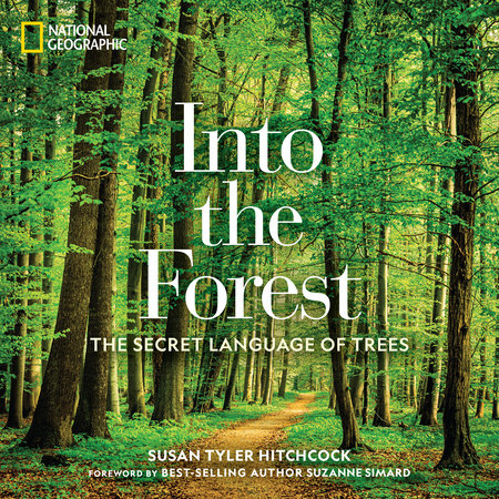 Into the Forest by Susan Tyler Hitchcock