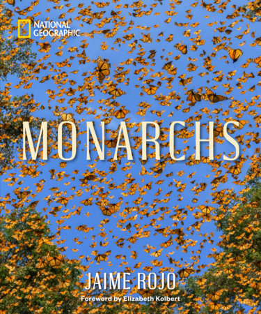 Monarchs by Jaime Rojo