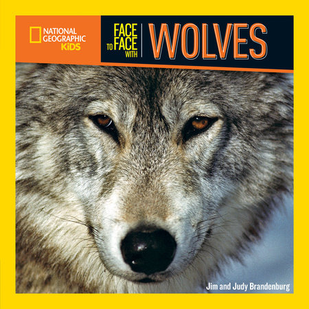 Face to Face With Wolves by Jim Brandenburg