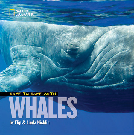 Face to Face with Whales by Flip Nicklin