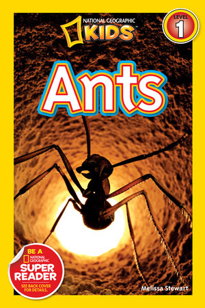 Ants (National Geographic Kids Readers, Level 1) by Melissa Stewart and National Geographic Kids