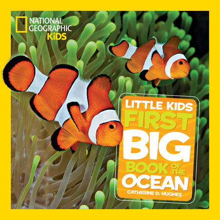 National Geographic Little Kids First Big Book of the Ocean by Catherine D. Hughes