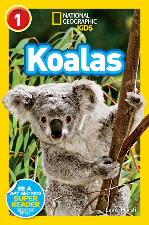 Koalas (National Geographic Kids Readers, Level 1) by Laura Marsh and National Geographic Kids