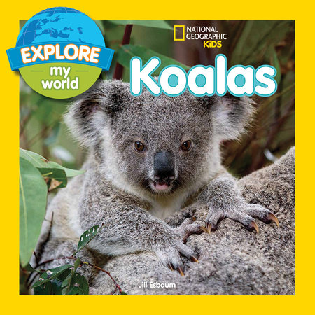 Explore My World Koalas by Jill Esbaum