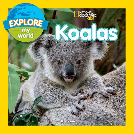 Explore My World: Koalas by Jill Esbaum