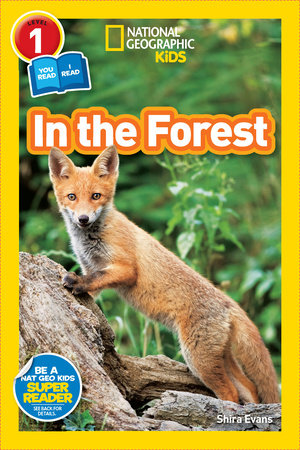 In the Forest (National Geographic Kids Readers, Level 1/Co