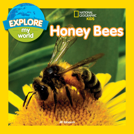 Explore My World: Honey Bees by Jill Esbaum