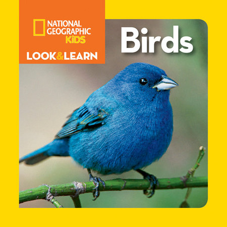 National Geographic Kids Look and Learn: Birds by National Geographic Kids