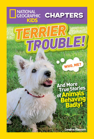 National Geographic Kids Chapters: Terrier Trouble! by Candice Ransom