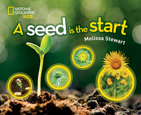 A Seed is the Start by Melissa Stewart