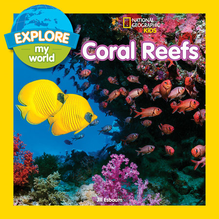 reefs kids