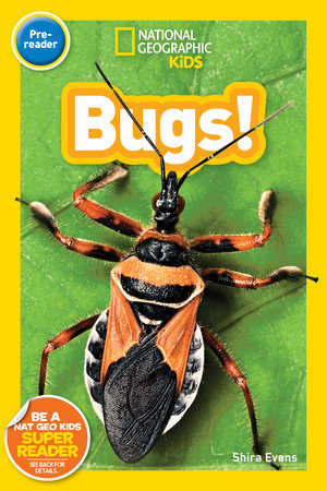 National Geographic Kids Readers: Bugs (Prereader) by Shira Evans
