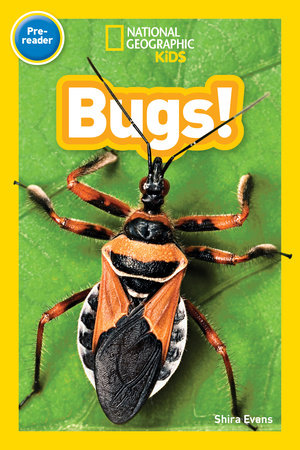 Bugs! (National Geographic Kids Readers, Pre-Reader) by Shira Evans and National Geographic Kids