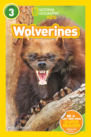 Wolverines (National Geographic Kids Readers, Level 3) by Melissa Stewart and National Geographic Kids