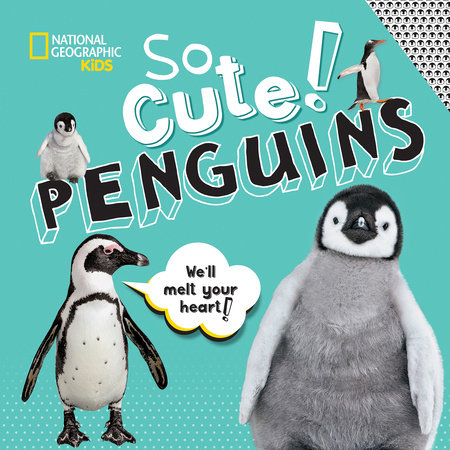So Cute! Penguins by Crispin Boyer
