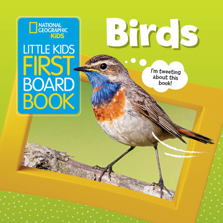 Little Kids First Board Book: Birds by Ruth A. Musgrave