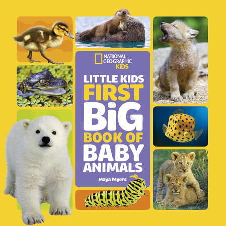 National Geographic Little Kids First Big Book of Baby Animals by Maya Myers