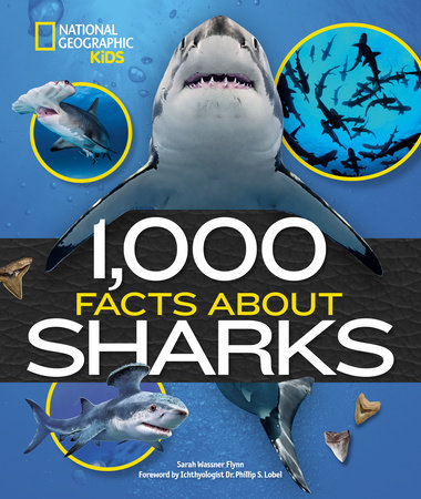 1,000 Facts About Sharks by Sarah Wassner Flynn