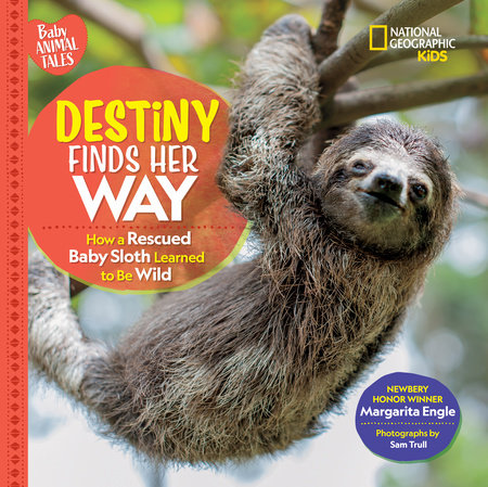 Destiny Finds Her Way by Margarita Engle