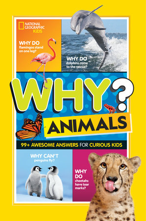 National Geographic Kids Why? Animals by Julie Beer