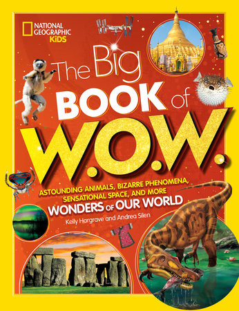 Big Book of W.O.W. by Andrea Silen