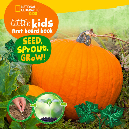Little Kids First Board Book Seed, Sprout, Grow! by Ruth A. Musgrave