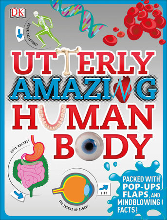 Utterly Amazing Human Body by Robert Winston