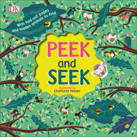 Peek and Seek by DK