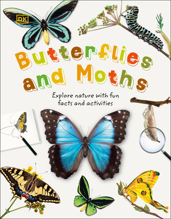 Butterflies and Moths by DK
