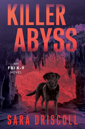 Killer Abyss by Sara Driscoll