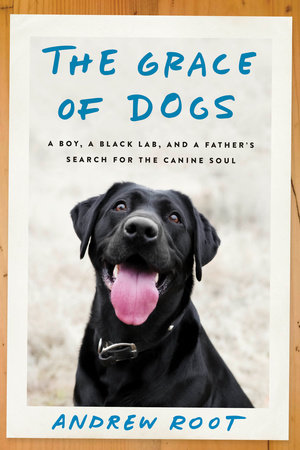 The Grace of Dogs by Andrew Root