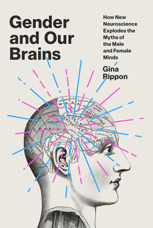 Gender and Our Brains by Gina Rippon: 9780525435372 |  PenguinRandomHouse.com: Books