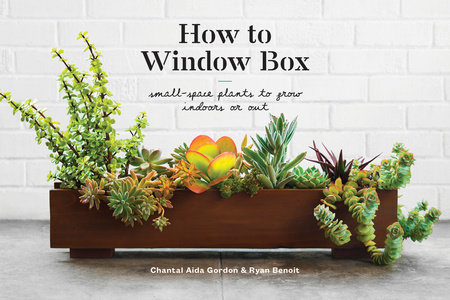How to Window Box by Chantal Aida Gordon and Ryan Benoit
