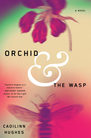 Orchid and the Wasp by Caoilinn Hughes
