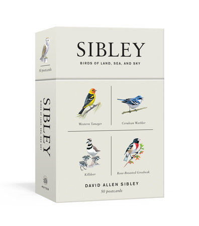 Sibley Birds of Land, Sea, and Sky by David Allen Sibley