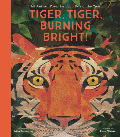 Tiger, Tiger, Burning Bright! by 