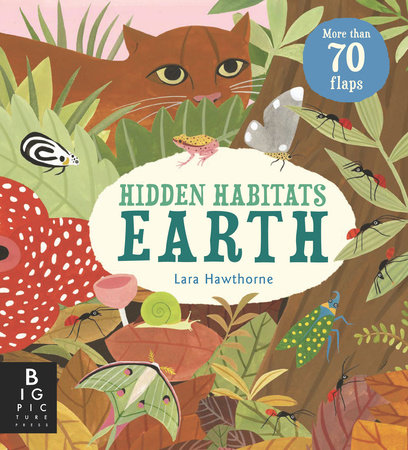 Hidden Habitats: Earth by Camilla de la Bedoyere