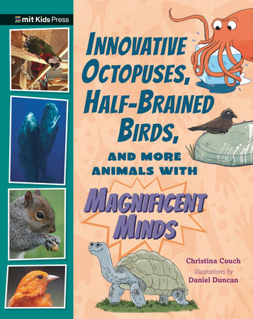 Innovative Octopuses, Half-Brained Birds, and More Animals with Magnificent Minds by Christina Couch; illustrated by Daniel Duncan