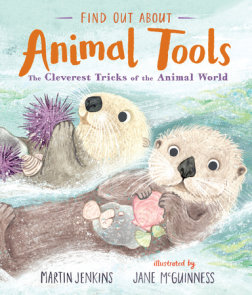 Find Out About Animal Tools