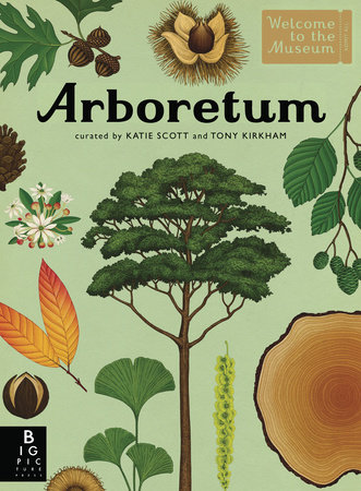 Arboretum by Tony Kirkham; illustrated by Katie Scott