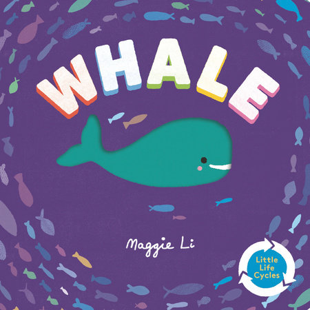 Whale by Maggie Li; illustrated by Maggie Li