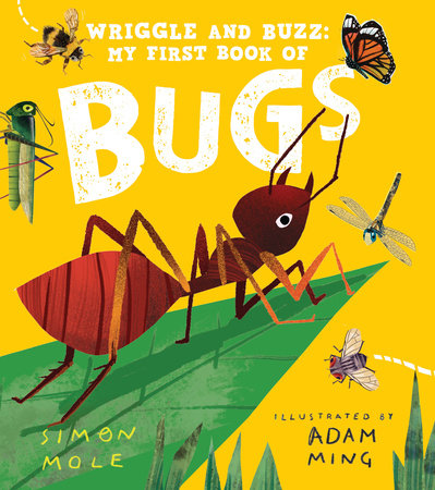 Wriggle and Buzz: My First Book of Bugs by Simon Mole