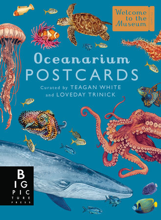 Oceanarium Postcard Box Set by Loveday Trinick