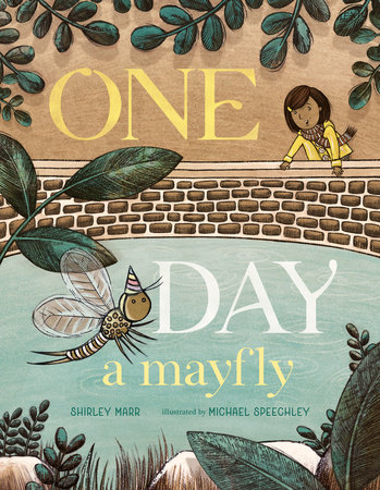 One Day a Mayfly by Shirley Marr