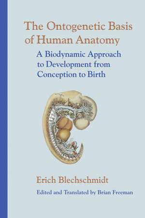 The Ontogenetic Basis of Human Anatomy by Erich Blechschmidt, M.D.