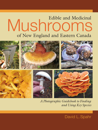 Edible and Medicinal Mushrooms of New England and Eastern Canada by David L. Spahr