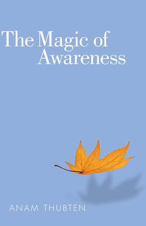 The Magic of Awareness by Anam Thubten